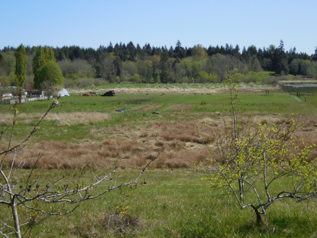 Farm in April 2015